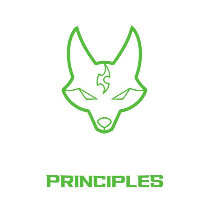Chaos Principles Logo